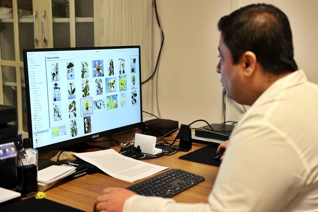 Dünyada sadece o kentimizde yetişiyor! Herbaryumda 400 bitki koruma altına alındı 2